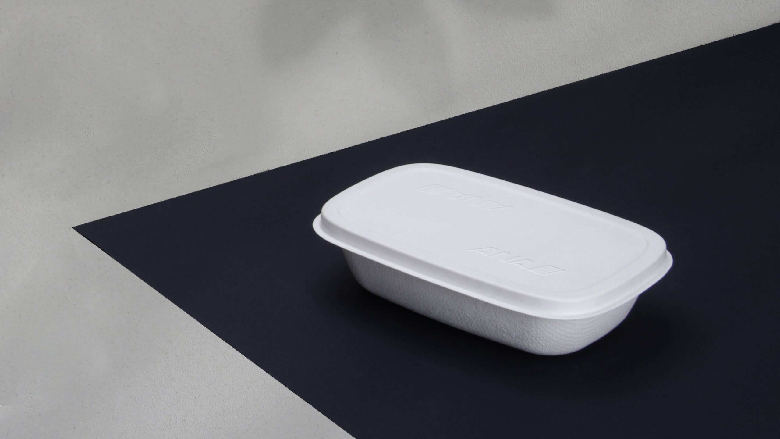 ANA biodegradable casserole